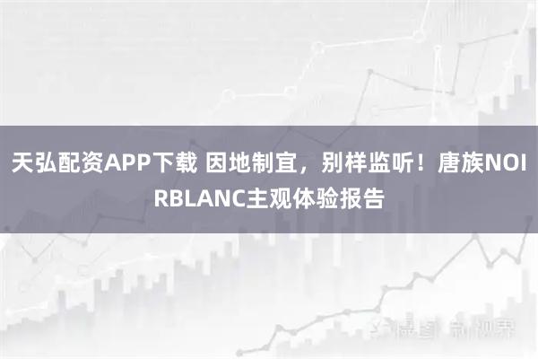 天弘配资APP下载 因地制宜，别样监听！唐族NOIRBLANC主观体验报告