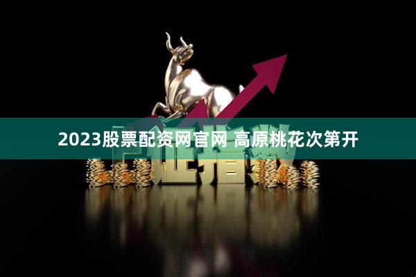 2023股票配资网官网 高原桃花次第开
